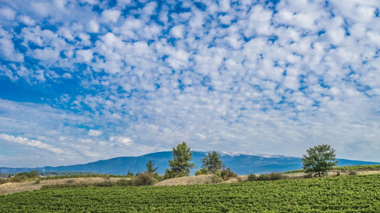 فيلا Les Terrasses De Cascavelle Blauvac المظهر الخارجي الصورة